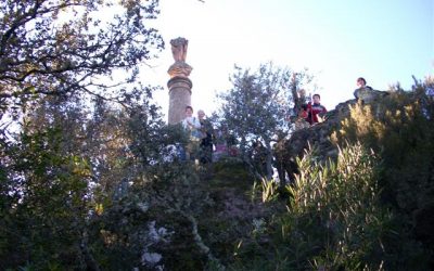 Actividades ambientales y deportivas durante el puente de la Constituación