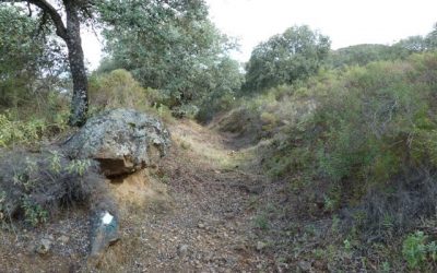 Actividad de voluntariado en el Camino de Pedrique