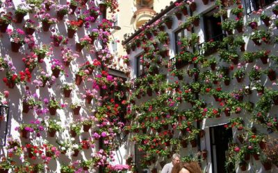 VISITA A LOS PATIOS DE CÓRDOBA