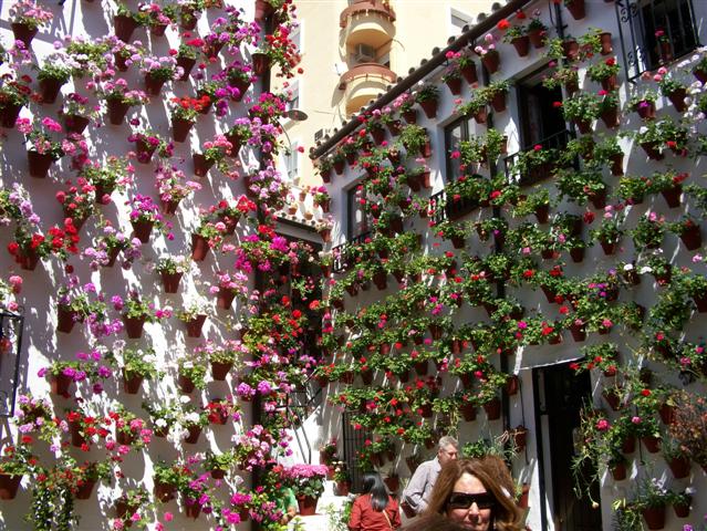 VISITA A LOS PATIOS DE CÓRDOBA