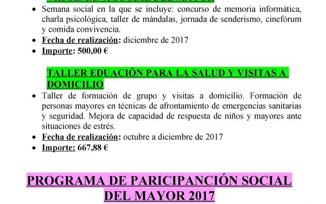 PLAN ESTRATÉGICO DE SUBVENCIONES DE SERVICIOS SOCIALES
