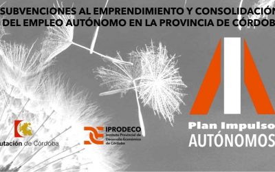 SUBVENCIONES PARA EL EMPLEO AUTÓNOMO