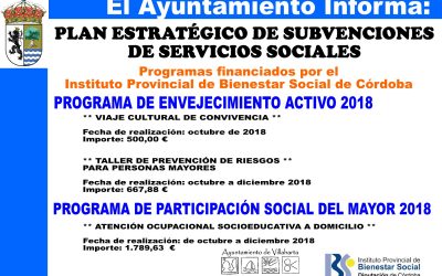 SUBVENCIÓN RECIBIDA. SERVICIOS SOCIALES