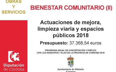 SUBVENCIÓN RECIBIDAS DE DIPUTACIÓN DE CÓRDOBA