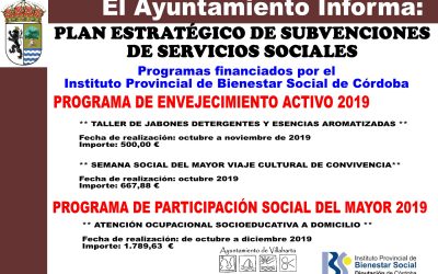 SUBVENCIONES RECIBIDAS SERVICIOS SOCIALES