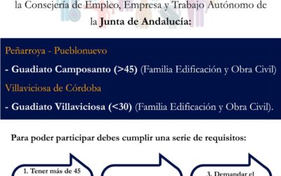 PROGRAMA DE EMPLEO Y FORMACIÓN