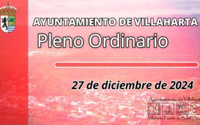 PLENO ORDINARIO. 27/12/2024