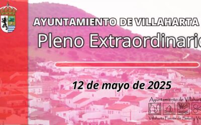 PLENO EXTRAORDINARIO 12/05/2025